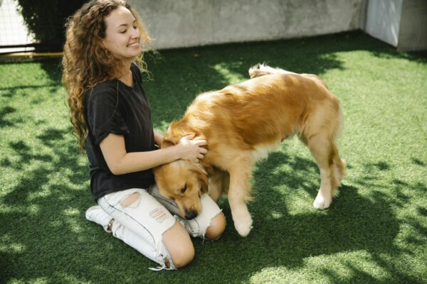 Cheerful young female with curly hair smiling and scratching neck of loyal Golden Retriever dog while kneeling on grass on sunny day in yard