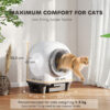 odor removal cat litter box for multiple kittens