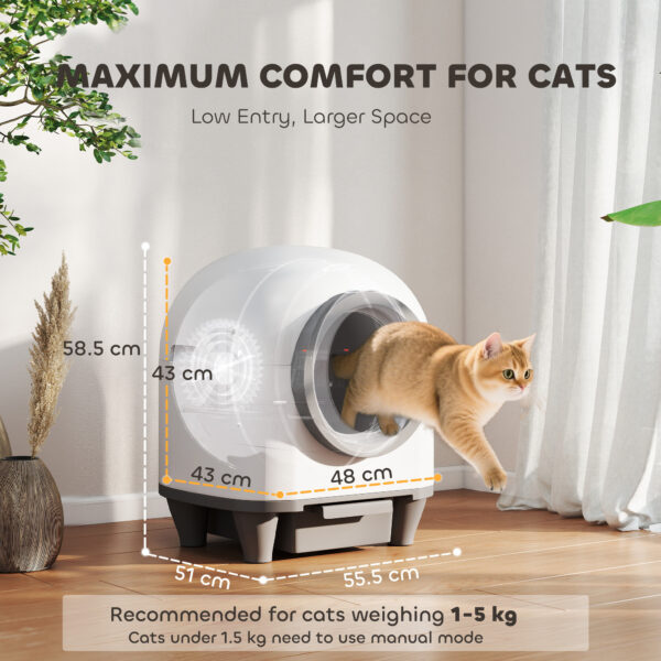 odor removal cat litter box for multiple kittens