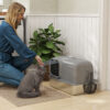 cat litter box with plasma deodoriser system