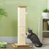 sisal scratching post for indoor cats