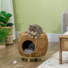 elevated wicker cat bed with washable cushion