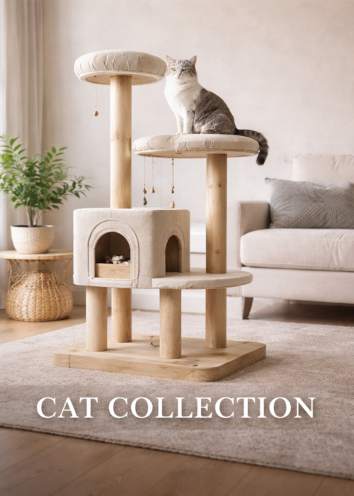 cat collection